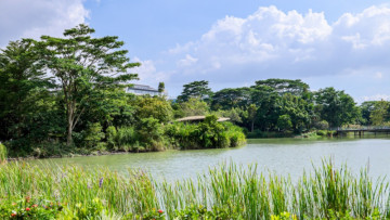 Foreign Media Get a Closer Look at How China Is Protecting Its Mangrove Forests 🌿