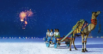 Never Go Out at Night🤦🏻‍♂️...?? How Will You Know You’re Missing Stars, Fireflies & Glowing Beaches? ✨🌌