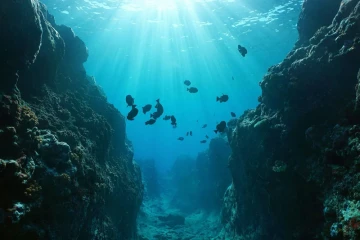 Surat’s Treated Wastewater Could Take the Sea Route 🌊🏭 650 Million Litres a Day