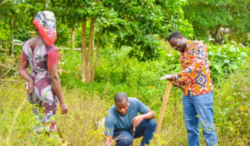 Ghana is planting trees, but is nature actually recovering?🌱🔍