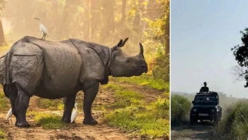 Visiting Pobitora in November 2026 : Get Ready for Rhinos, Safaris & Birdwatching! 🦏📸